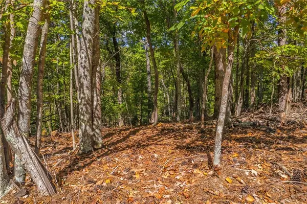 East Ellijay, GA 30540,12 Oneida CIR