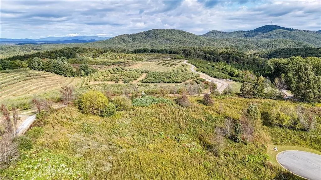 Ellijay, GA 30536,lot 21 Ridgemont LN