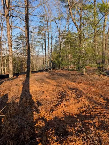 Dahlonega, GA 30533,0 Yahoola Ridge