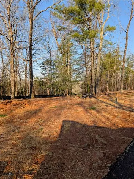 Dahlonega, GA 30533,0 Yahoola Ridge