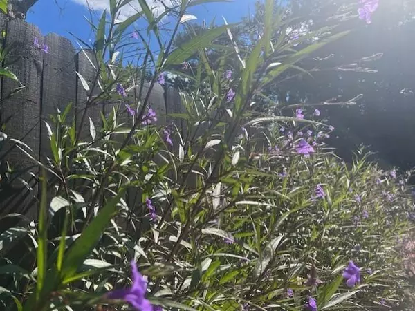 Smyrna, GA 30082,54 Church RD