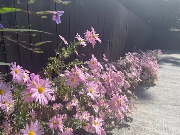 Smyrna, GA 30082,54 Church RD