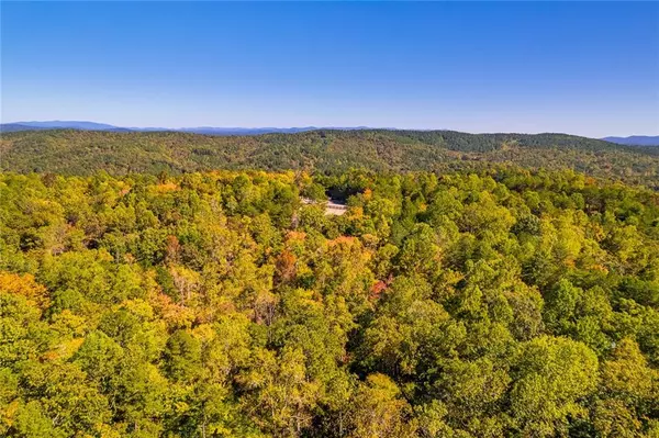 Ranger, GA 30734,Lot 8 Long Branch Trail
