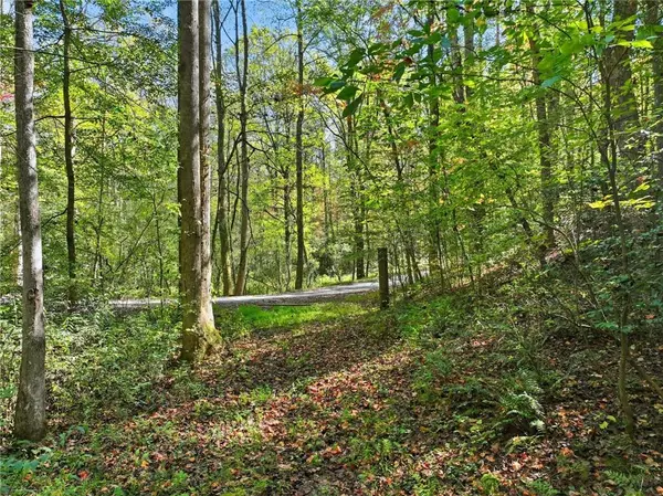 Ellijay, GA 30540,0 Tanglewood Lane
