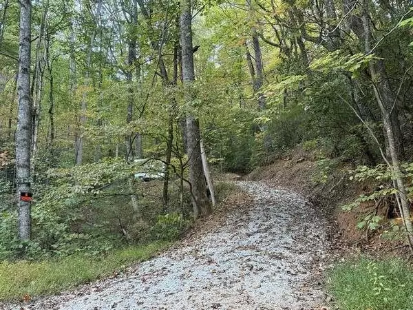 Clayton, GA 30525,0 Wood Sorrel Ln