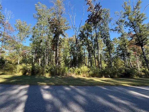 Sautee Nacoochee, GA 30571,83 Leisure Mtn TRL