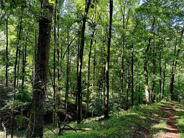 Dahlonega, GA 30533,7.123 Acres Halls Mill RD