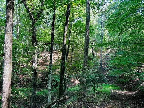 Dahlonega, GA 30533,7.123 Acres Halls Mill RD