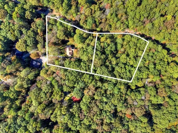 Ellijay, GA 30536,446 Riverwood RD