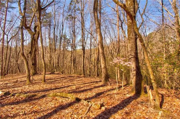 500 Chapman Ridge LN, Dahlonega, GA 30533