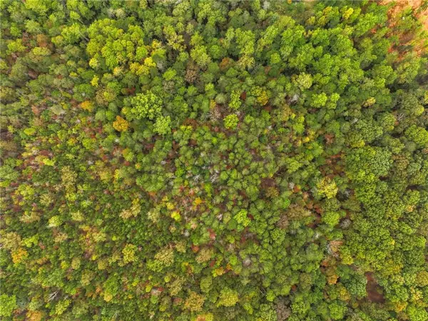 Dahlonega, GA 30533,6380 Dawsonville HWY