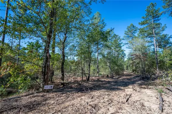 Rydal, GA 30171,3867 HWY 140 NE