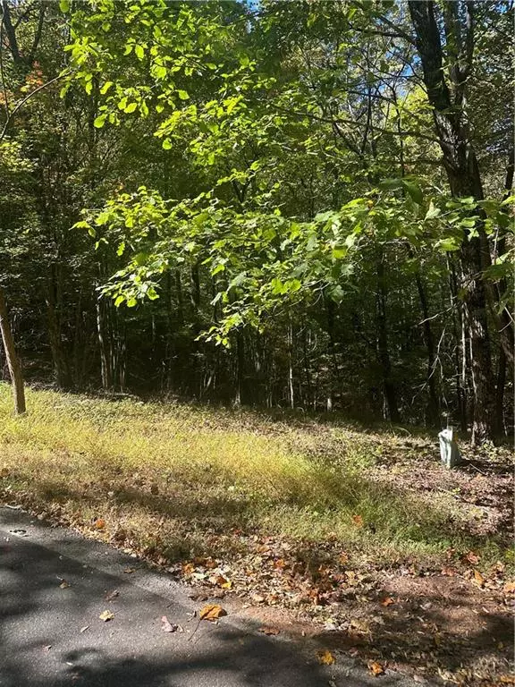 Jasper, GA 30143,0 Blackgum DR