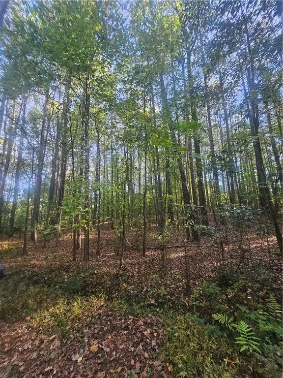 Powder Springs, GA 30127,4861 MOON RD