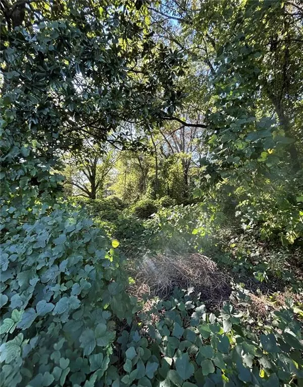Ball Ground, GA 30107,85 Tatum CIR
