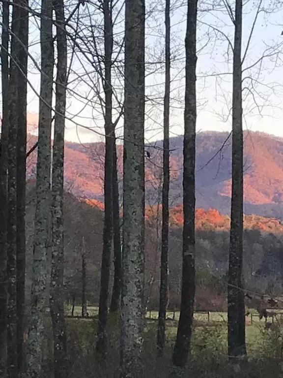 Ellijay, GA 30540,3349 Whitepath RD