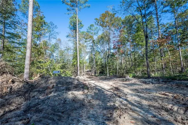 Rydal, GA 30171,3859 HWY 140 NE