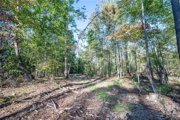 Rydal, GA 30171,3859 HWY 140 NE