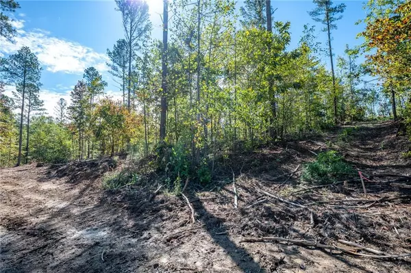 Rydal, GA 30171,3809 HWY 140 NE