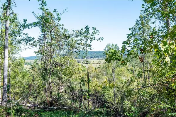 Rydal, GA 30171,3793 HWY 140 NE