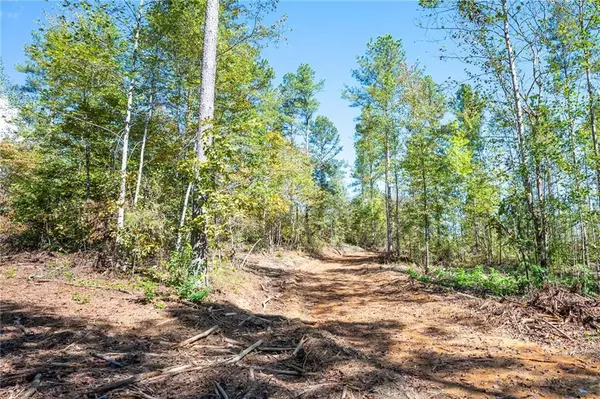 Rydal, GA 30171,3797 HWY 140 NE