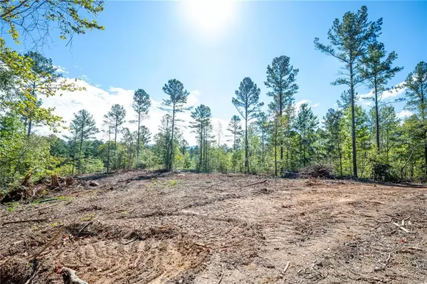 Rydal, GA 30171,3801 HWY 140 NE