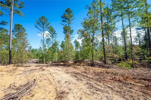 Rydal, GA 30171,3805 HWY 140 NE