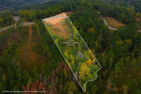 Talking Rock, GA 30175,LT 224 West Vista Ridge Pkwy