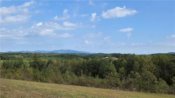 Talking Rock, GA 30175,225 Bear Creek RD