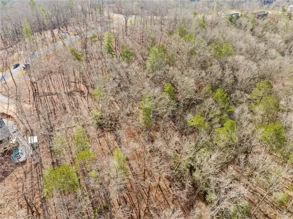 Ellijay, GA 30540,Lot 33 Jakes Landing WAY S