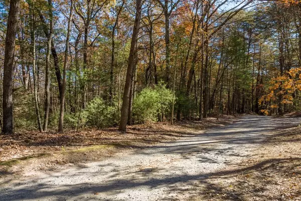 Ellijay, GA 30536,TR 1 Old Anderson Creek
