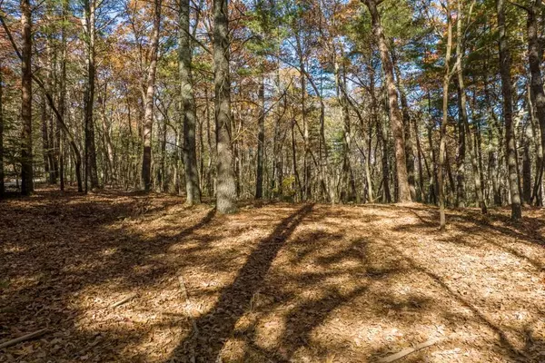 Ellijay, GA 30536,TR 1 Old Anderson Creek