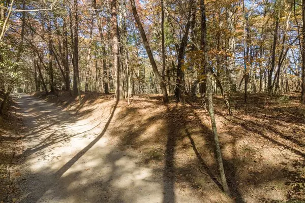 Ellijay, GA 30536,TR 2 Old Anderson CRK