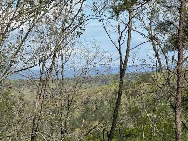 Dahlonega, GA 30533,TRACT1 Panorama