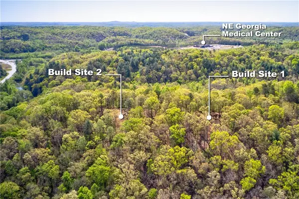 Dahlonega, GA 30533,TRACT1 Panorama