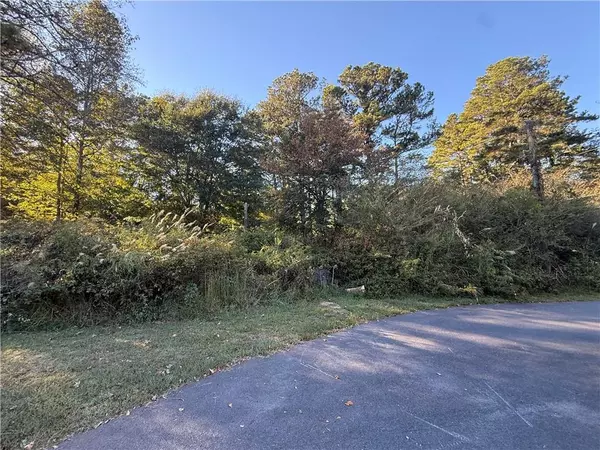Villa Rica, GA 30180,10 S Villa Rd