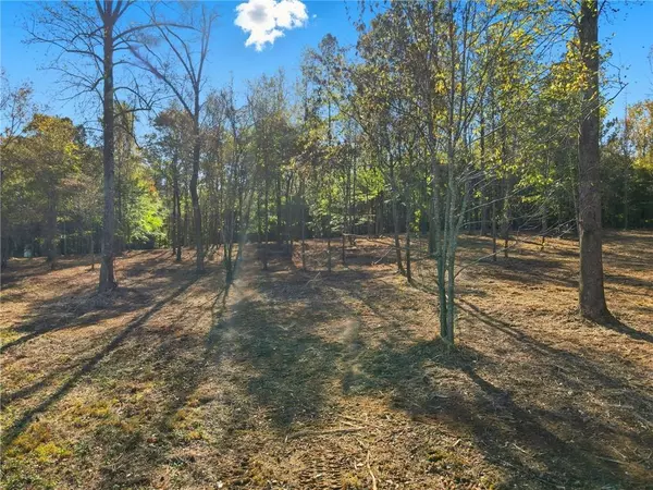 Alpharetta, GA 30004,13630 Birmingham HWY