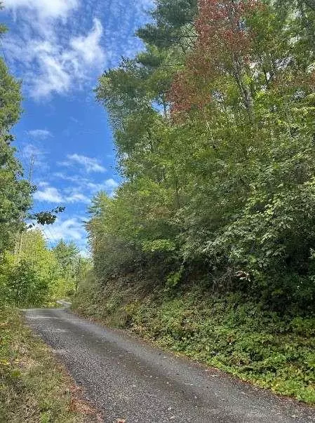 Clayton, GA 30525,LOT 7 Sequoia Hills LN