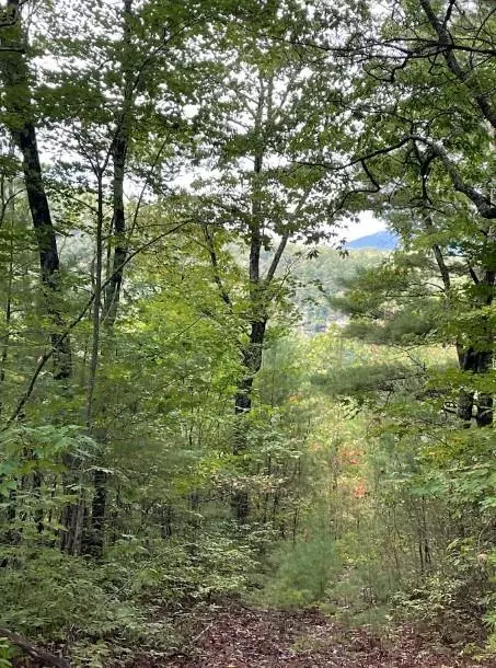 Clayton, GA 30525,Lot 6 Sequoia Hills LN