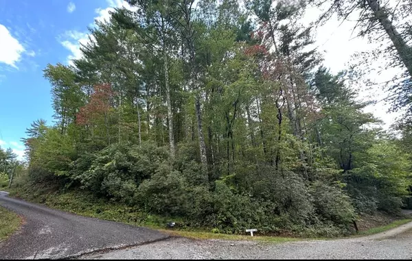 Clayton, GA 30525,Lot 6 Sequoia Hills LN