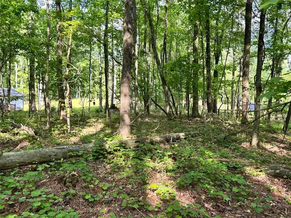 Alpharetta, GA 30004,5219 UNION HILL RD