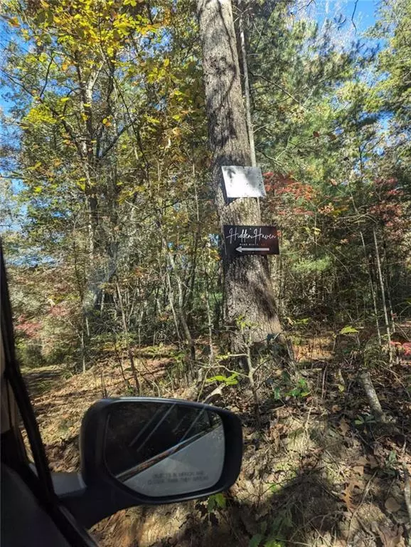 Blue Ridge, GA 30513,26.89 Shadow LN