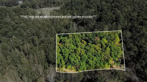 Ellijay, GA 30540,3468 Fir LN