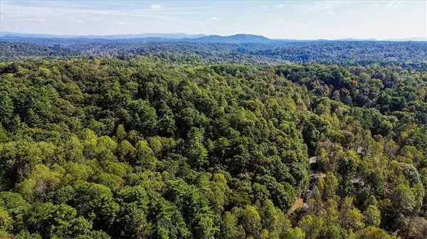 Ellijay, GA 30540,3468 Fir LN