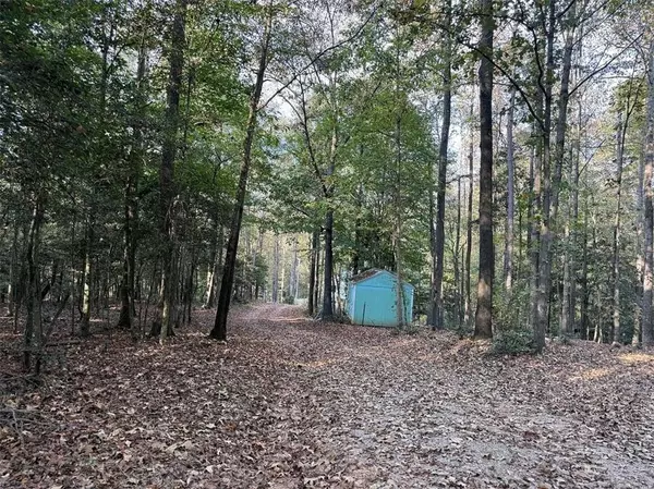 Homer, GA 30547,143 Lois LN