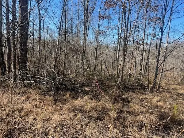 Jasper, GA 30143,Lot 4 Jerusalem Church RD