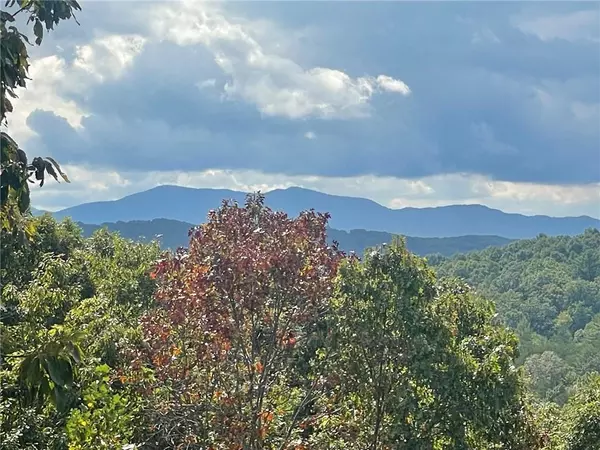 Morganton, GA 30560,24 Rabbit Ridge RD