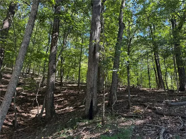 Jasper, GA 30143,0 Moss Patch TRL