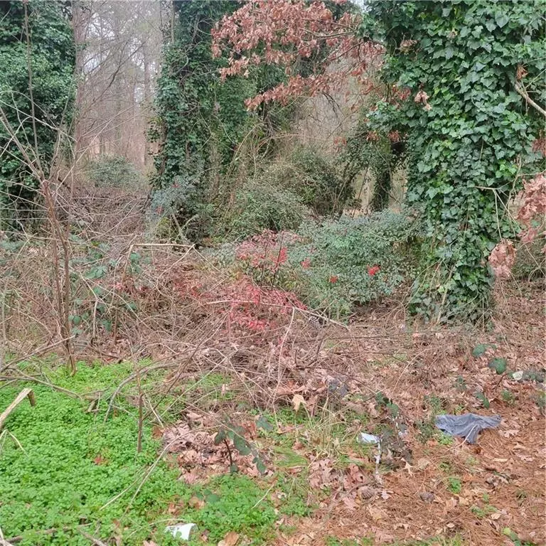 Ellenwood, GA 30294,4682 Pine CIR