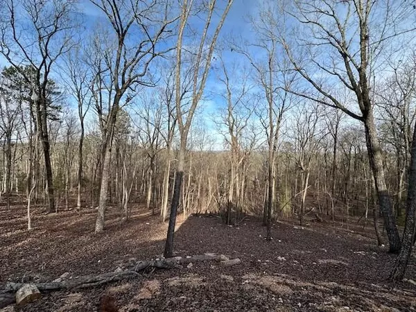 Summerville, GA 30747,245 Frontier CIR